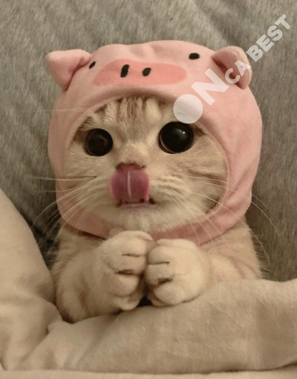 23fceaecae73d4fcf93694a93a1a7736_1664209727_4397.png