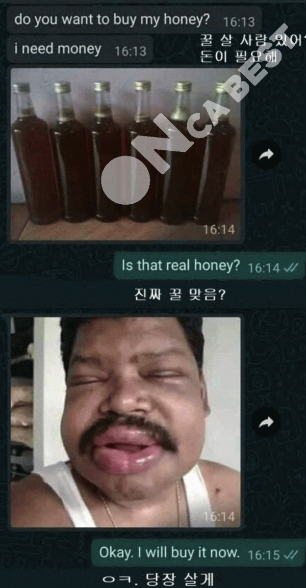 de5e00eb80446959fcc6fc7bef970bfe_1663790193_5738.png