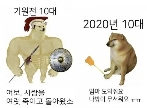 ef096e765d719ea2b8e504c4ea6db136_1667827253_3583.webp